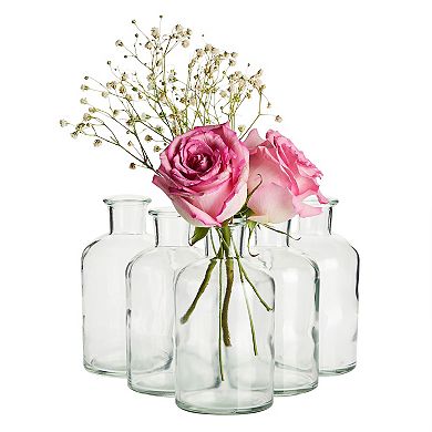 6 Pack Small Glass Decorative Bottles, Vintage Style Clear Bud Vases for Flowers (2.5 x 4.8 In)