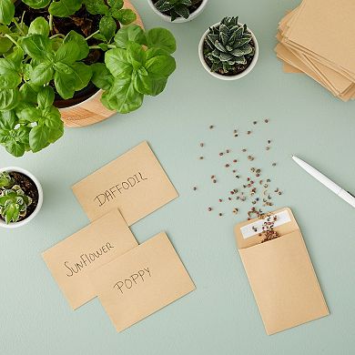 100 Pack Small Seed Saving Envelopes, Bulk Blank Paper Coin Packets 4.5x3.25