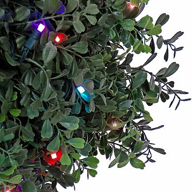 National Tree Company 46-in. Boxwood Double Ball Topiary in Black Plastic Nursery Pot with 100 RGB LED Lights