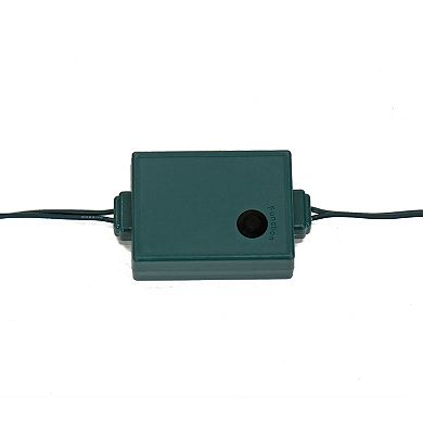 National Tree Company 46-in. Boxwood Double Ball Topiary in Black Plastic Nursery Pot with 100 RGB LED Lights