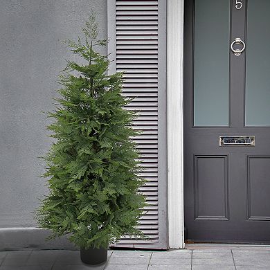National Tree Company 5' Artificial Cypress Topiary in Plastic Nursery Pot