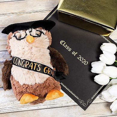 Owl Graduation Stuffed Animal with Glasses and Grad Cap for 2022 Graduates (9.2 In)