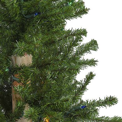 Northlight Seasonal 3-ft, 4-ft. & 5-ft. Pre-Lit Multicolor Slim Alpine Artificial Christmas Tree Set