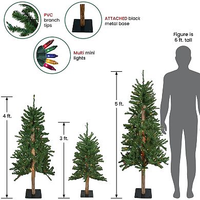 Northlight Seasonal 3-ft, 4-ft. & 5-ft. Pre-Lit Multicolor Slim Alpine Artificial Christmas Tree Set
