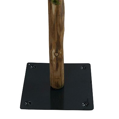 Northlight Seasonal 3-ft, 4-ft. & 5-ft. Pre-Lit Multicolor Slim Alpine Artificial Christmas Tree Set