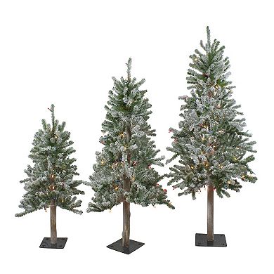 Northlight 3-pc. Flocked Alpine Artificial Christmas Trees - Unlit