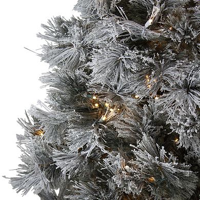 Northlight 7.5' Pre-Lit Black Spruce Artificial Christmas Tree - Clear LED Lights