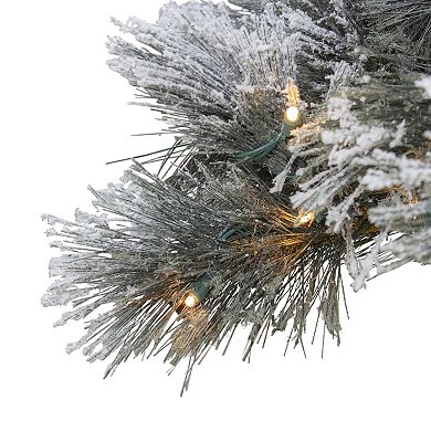 Northlight 7.5' Pre-Lit Black Spruce Artificial Christmas Tree - Clear LED Lights