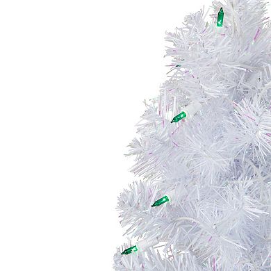 Northlight 2-ft. Pre-Lit Green Lights Slim White Artificial Christmas Tree