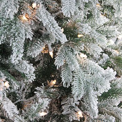 Northlight 6.5-ft. Pre-Lit Clear Lights Full Frosted Butte Fir Artificial Christmas Tree