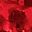 Gold Tone Red