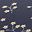 Midnight Blossoms Navy