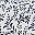 Burst Of Vines Navy