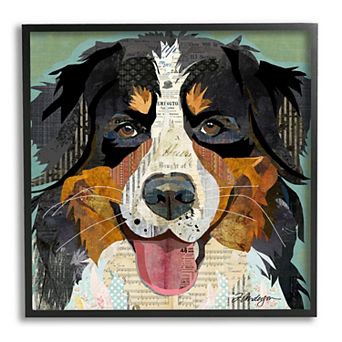 Stupell Home Decor Bernese Mountain Dog Ephemera Framed Wall Art