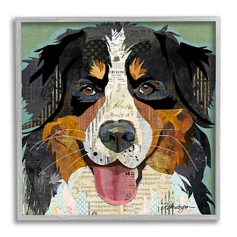Stupell Home Decor Bernese Mountain Dog Ephemera Framed Wall Art