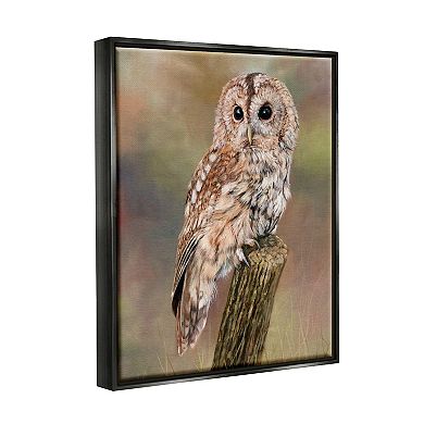 Stupell Home Decor Brown Tawny Owl Perched Floating Frame Wall Art
