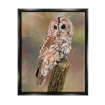 Stupell Home Decor Brown Tawny Owl Perched Floating Frame Wall Art