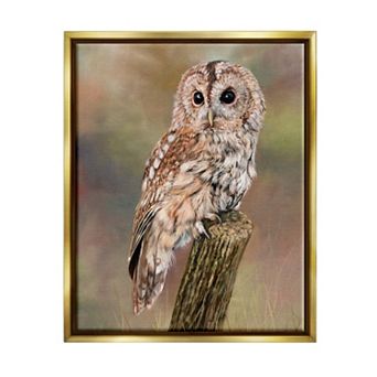 Stupell Home Decor Brown Tawny Owl Perched Floating Frame Wall Art