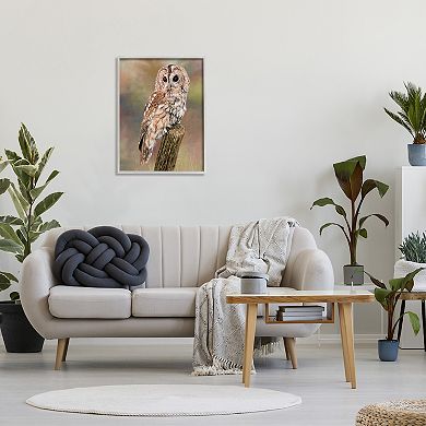 Stupell Home Decor Brown Tawny Owl Perched Painting Framed Wall Art