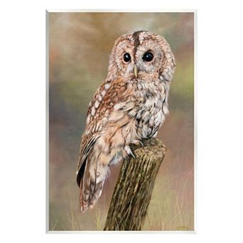 Stupell Home Decor Brown Tawny Owl Perched Painting Plaque