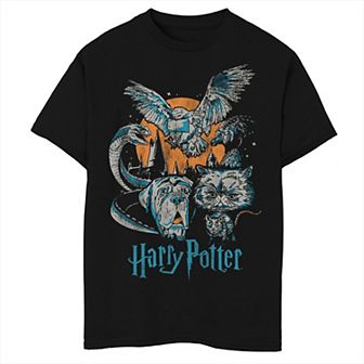 Boys 8-20 Husky Harry Potter Familiar Sketch Portrait Graphic Tee
