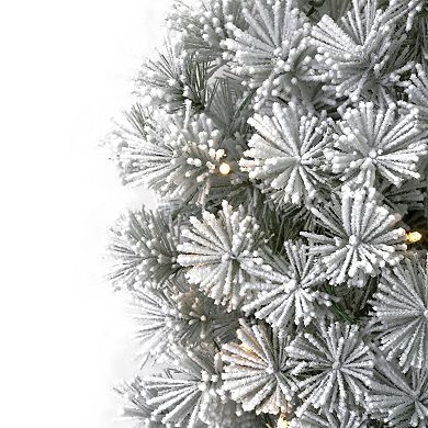 Seasonal LLC 24-in. Pre-Lit Flocked Winter Fir Hard Needle Artificial Christmas Wreath with Clear Lights