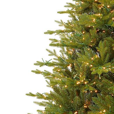 Seasonal 7.5-ft. Pre-Lit Dandan Pine Artificial Christmas Tree with Warm White LED Lights and Remote