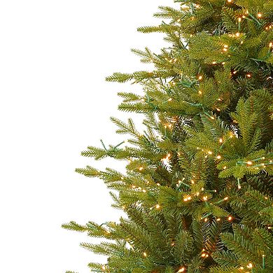 Seasonal LLC 7.5-ft. Pre-Lit Dandan Pine Artificial Christmas Tree with Warm White LED Lights and Remote