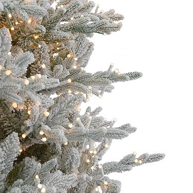 Seasonal 7.5-ft. Pre-Lit Dandan Flocked Artificial Pine Christmas Tree - Warm White LED Lights