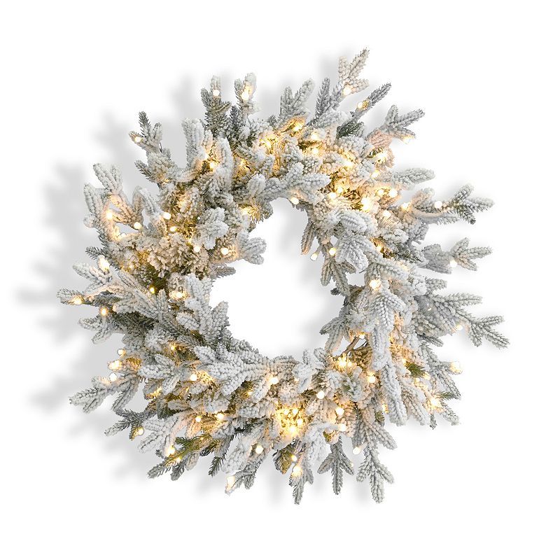 Seasonal LLC Dandan Flocked Pine 24 inches Diameter Wreath with Warm LED Lights