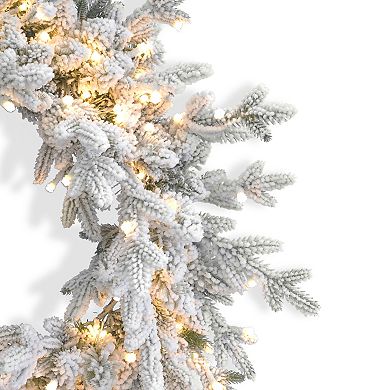 Seasonal LLC Dandan Flocked Pine 24" Wreath