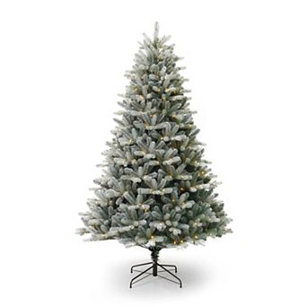 Seasonal LLC 7.5-ft. Pre-Lit Blue Spruce Artificial Christmas Tree - Warm White LED Lights