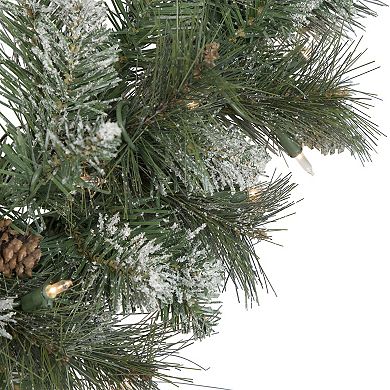 Northlight Pre-Lit Snow Valley Pine Artificial Christmas Wreath with Clear Lights