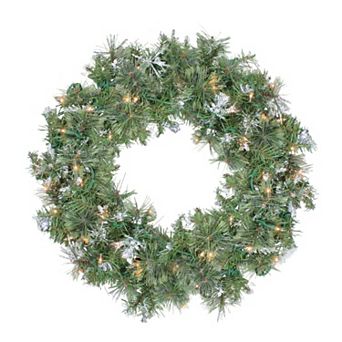 Northlight 24 in Pre-Lit Snow Mountain Pine Artificial Christmas Wreath with Clear Lights