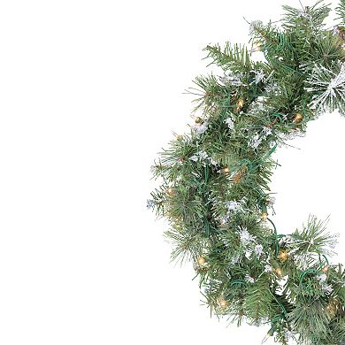 Northlight Pre-Lit Snow Mountain Pine Artificial Christmas Wreath with Clear Lights