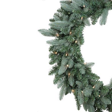 Northlight Pre-Lit Washington Frasier Fir Artificial Christmas Wreath with Clear Lights