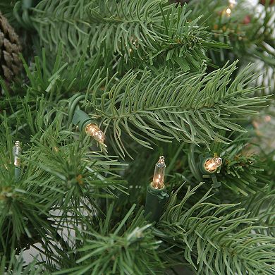 Northlight Pre-lit Noble Fir with Red Berries & Pine Cones Artificial Christmas Wreath with Clear Lights