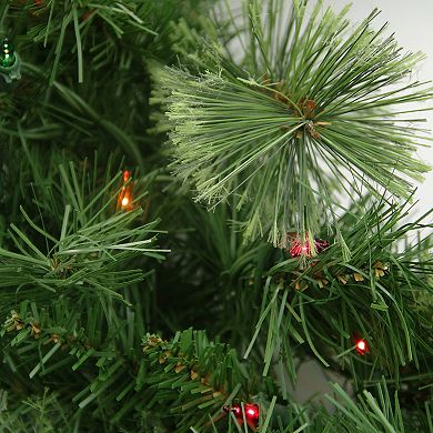 Northlight Pre-Lit Mixed Cashmere Pine Artificial Christmas Wreath with Multi-Color Lights
