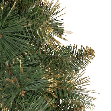 Northlight Pre-Lit Yorkshire Pine Artificial Christmas Wreath with Clear Lights