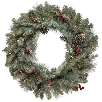 Northlight Pre-Lit Snowy Waterloo Pine Artificial Christmas Wreath with Clear Lights