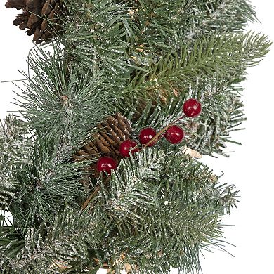 Northlight Pre-Lit Snowy Waterloo Pine Artificial Christmas Wreath with Clear Lights