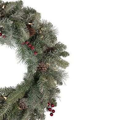 Northlight Pre-Lit Snowy Waterloo Pine Artificial Christmas Wreath with Clear Lights