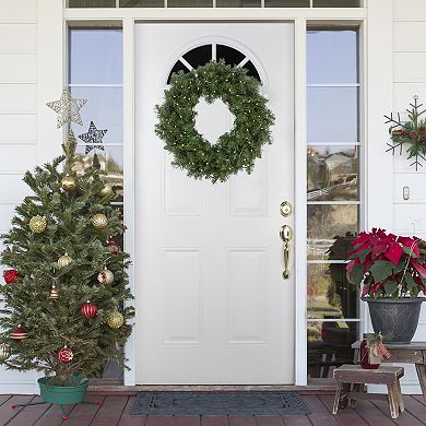 Northlight Pre-Lit Whitmire Pine Artificial Christmas Wreath with Warm White LED Lights