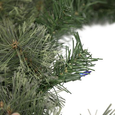 Northlight Pre-Lit Oregon Cashmere Pine Artificial Christmas Wreath 24-in. Multi Lights
