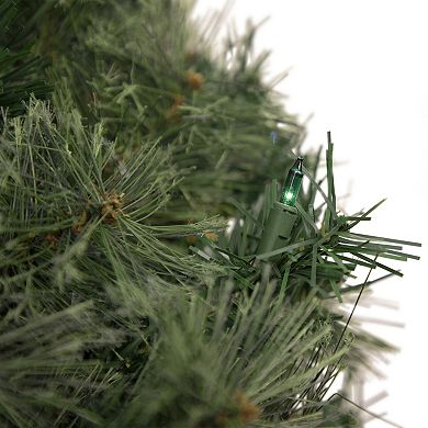 Northlight Pre-Lit Oregon Cashmere Pine Artificial Christmas Wreath 24-in. Multi Lights