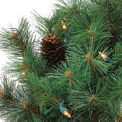 Northlight Pre-Lit Royal Oregon Pine Artificial Christmas Wreath with Clear Lights