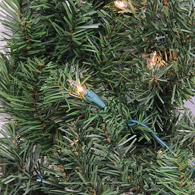 Northlight Pre-Lit Canadian Pine Artificial Christmas Wreath with Clear Lights