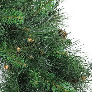 Northlight Pre-Lit White Valley Pine Artificial Christmas Wreath with Clear Lights