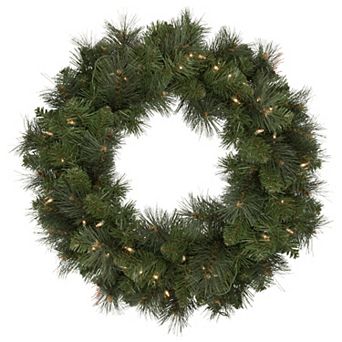 Northlight 24 in Mixed Beaver Pine Artificial Christmas Wreath with Clear Lights