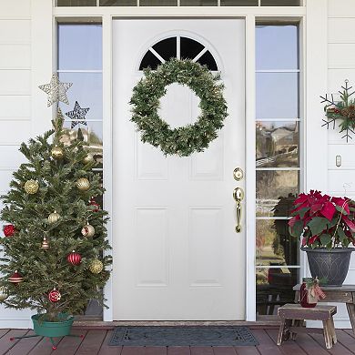 Northlight Pre-Lit Oregon Cashmere Pine Artificial Christmas Wreath with Clear Lights